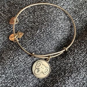 alex and ani bracelet